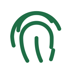 branding identity