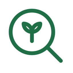 seo growth